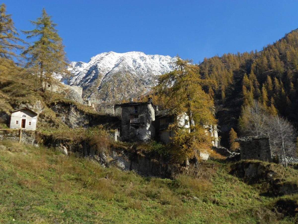 La Mura' - Il Vostro Posto Nel Gran Paradiso Ronco Canavese Exterior foto