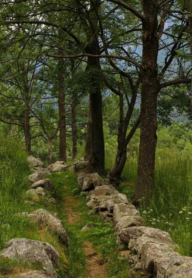 La Mura' - Il Vostro Posto Nel Gran Paradiso Ronco Canavese Exterior foto